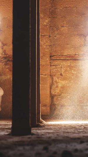 seo查排名工具截图2