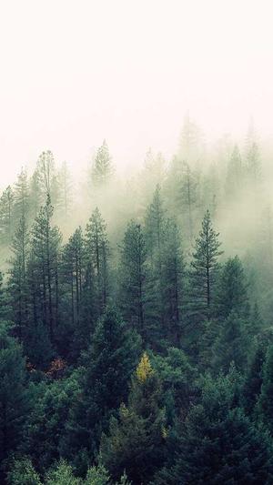 abc网站建设截图1