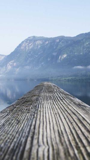 seo排名推广工具发帖截图2