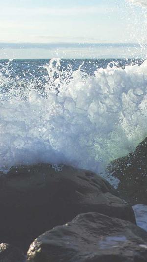 新乡seo营销推广工具截图3