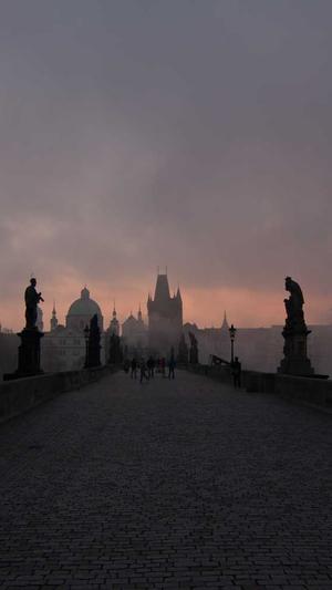 SEO优化工具软件截图4