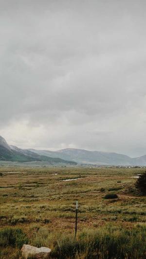 seo推广工具价格截图5