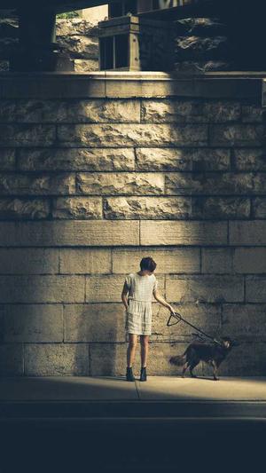 重庆seo优化用什么软件截图2