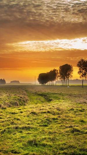 seo外链工具下载截图4