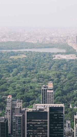 福建蜘蛛池出租截图1