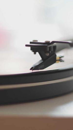 网站建设解决方案截图1