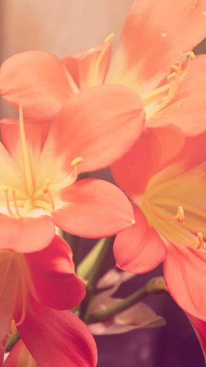 湖州seo优化截图4