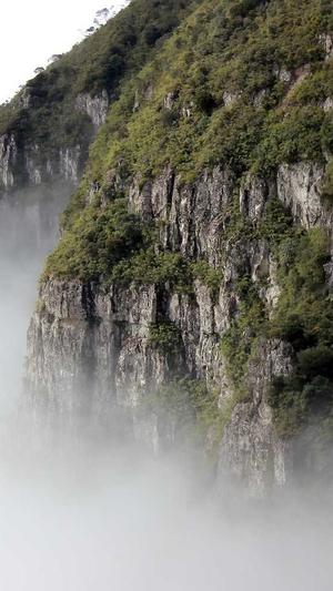 百度站长工具SEO截图2