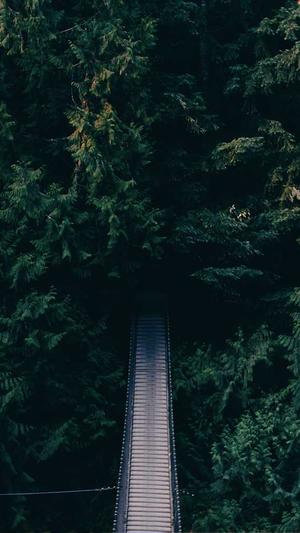 seo排名优化课程截图5