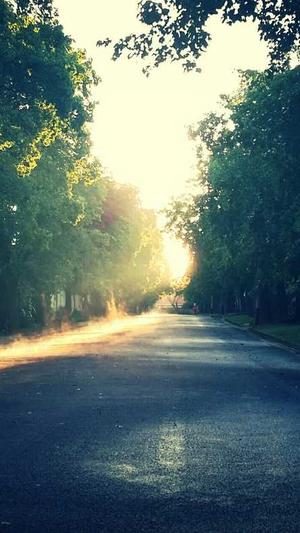 刷关键词排名seo工具截图2