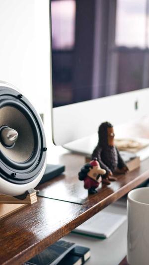 小旋风蜘蛛池视频教程截图2