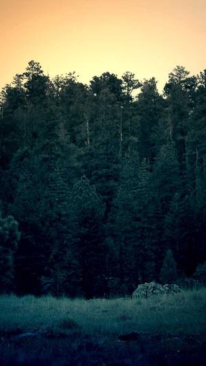 蜘蛛池自动采集截图3