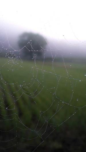 北京seo排名截图1