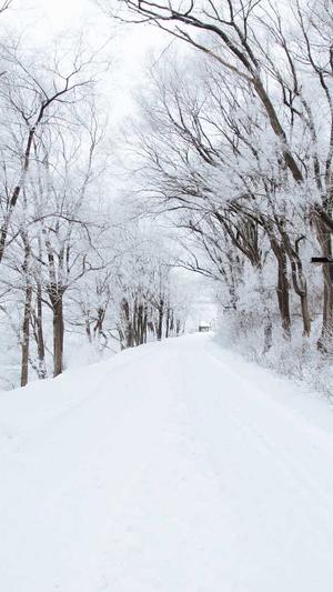 蜘蛛池推广平台有哪些截图1