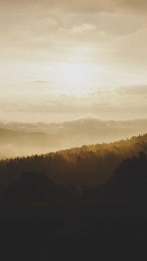 站长工具seo查询搜狗截图5