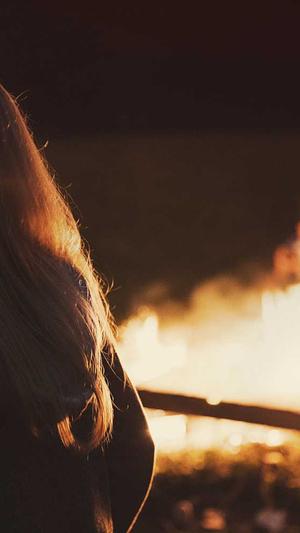 自己建蜘蛛池要多少钱截图3