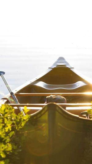 天道php蜘蛛池截图2