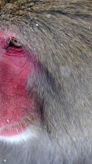 网站增加泛目录截图2