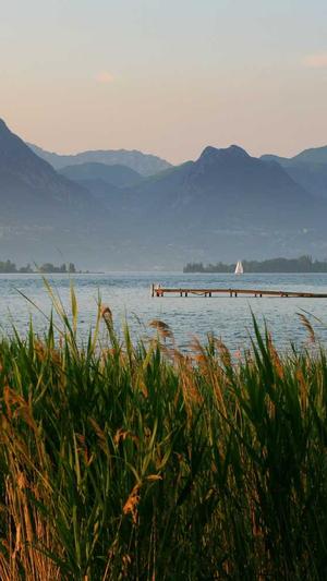 小旋风蜘蛛池英文截图4