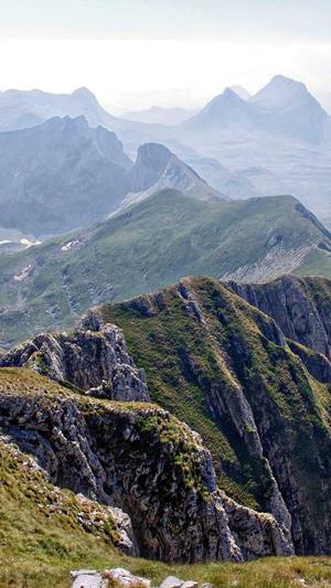 seo查询和工具截图5