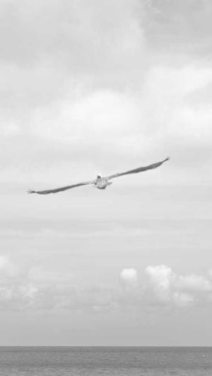 小说泛目录源码截图1