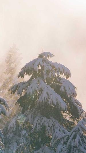 重庆seo关键词工具截图1