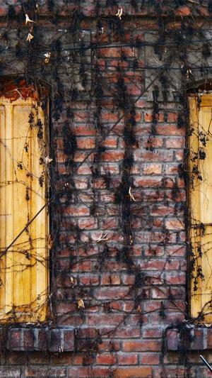 网站建设规划书截图3