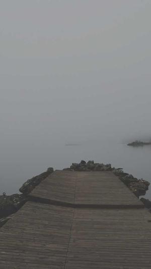 seo常用工具截图1