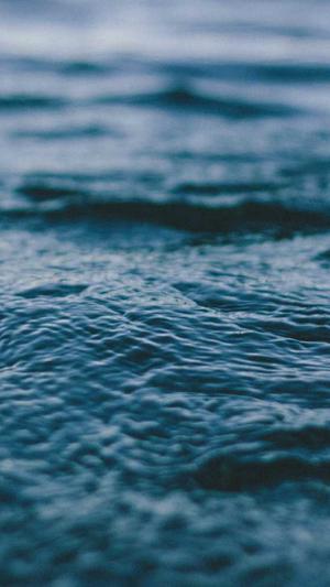 seo网络优化工具截图3