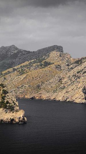 重庆网站seo公司截图3