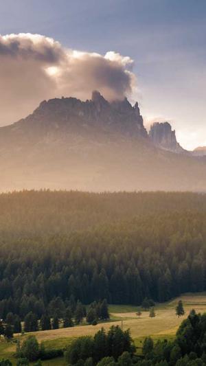 蜘蛛池收录截图4