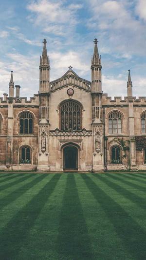 快速排名seo8截图2