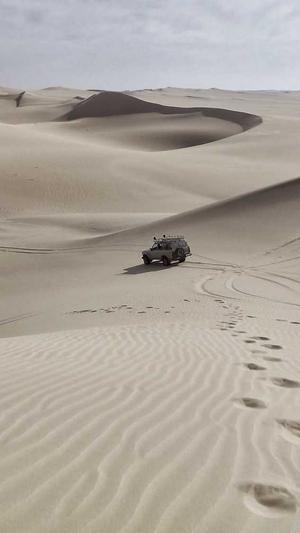 外贸 网站 建设截图3