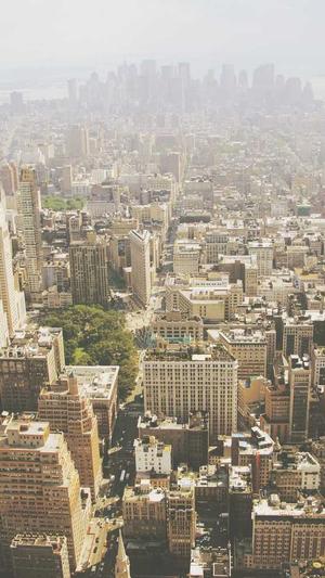 seo排名推广工具发帖截图1