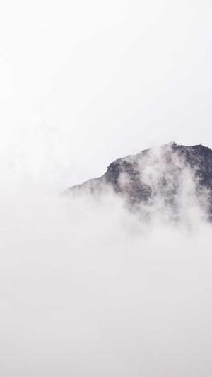 青岛seo优化排名截图2