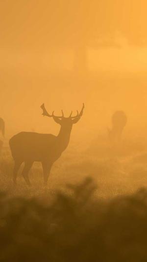 快速排名seo8截图3