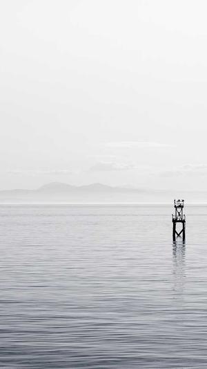 百度seo排名培训截图2