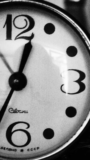 站群和蜘蛛池截图2