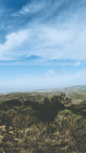 蜘蛛池租用包月多少钱截图3