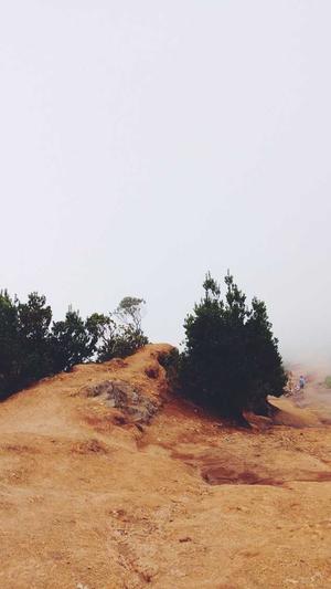 泛目录寄生虫截图4