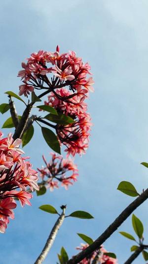 潍坊 网站建设截图3