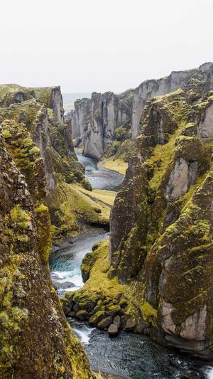 小霸王蜘蛛池后台测试截图1