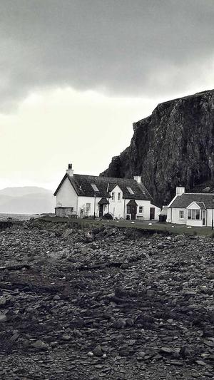 自己建蜘蛛池要多少钱截图2