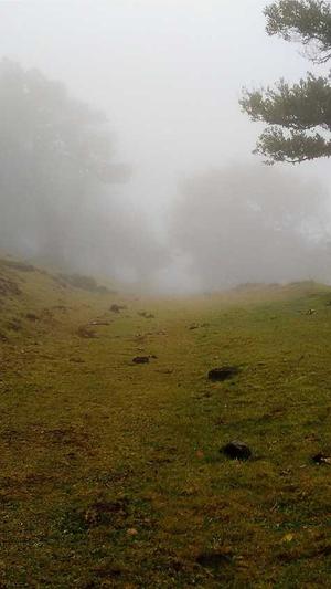 广东蜘蛛池租用包月截图2